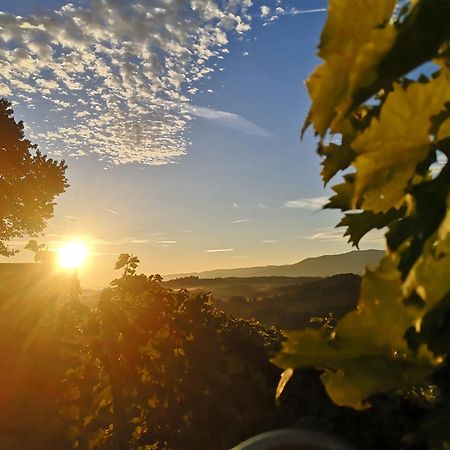 Peiserhof Ferien.Wein.Gut Suedsteiermark Villa Wies Екстериор снимка